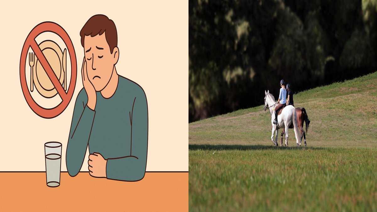 하루 시간이 부족하게 느껴지는 구조적 원인 3