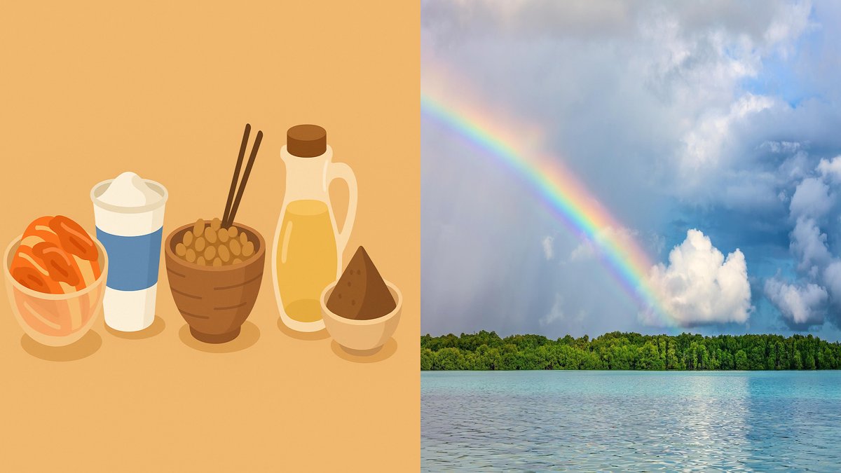 하루 일정이 자주 밀리는 생활 패턴 9