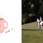 하루가 항상 바쁘게 느껴지는 이유