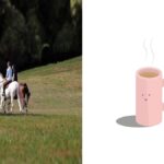 정리 습관이 자리 잡지 않는 이유