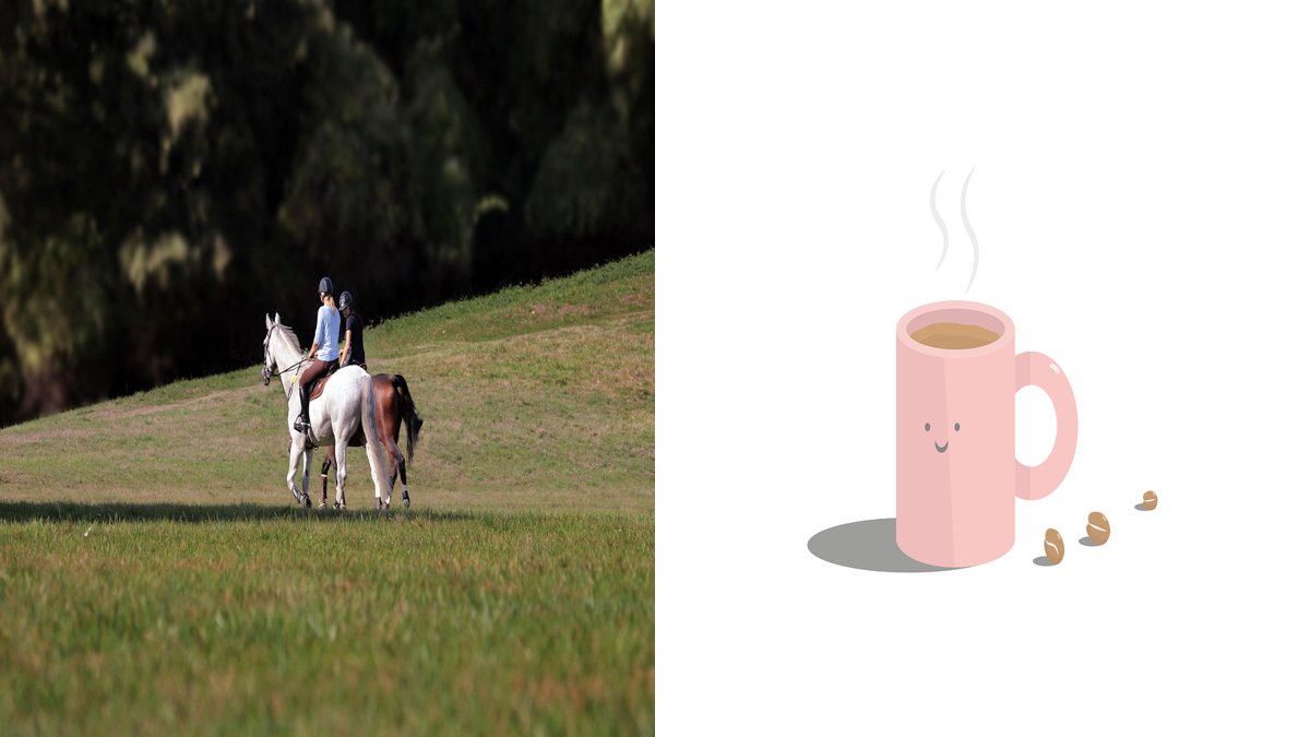 정리 습관이 자리 잡지 않는 이유 4