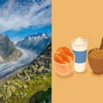 생활 관리의 기본 구조와 요소