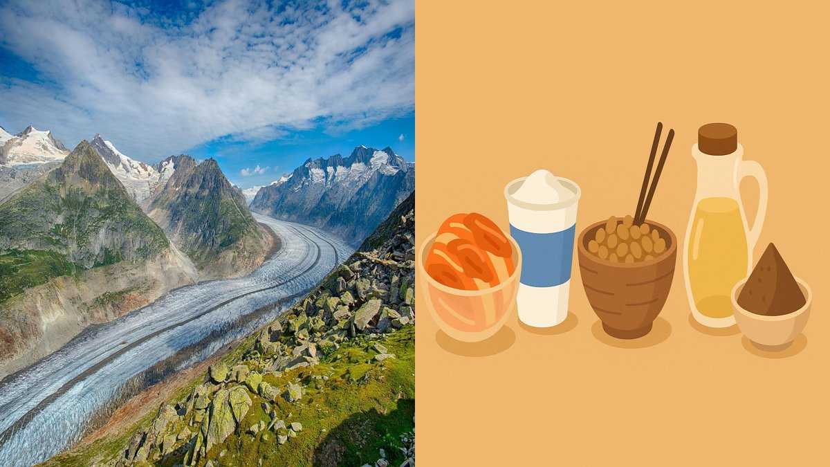 생활 관리의 기본 구조와 요소 3